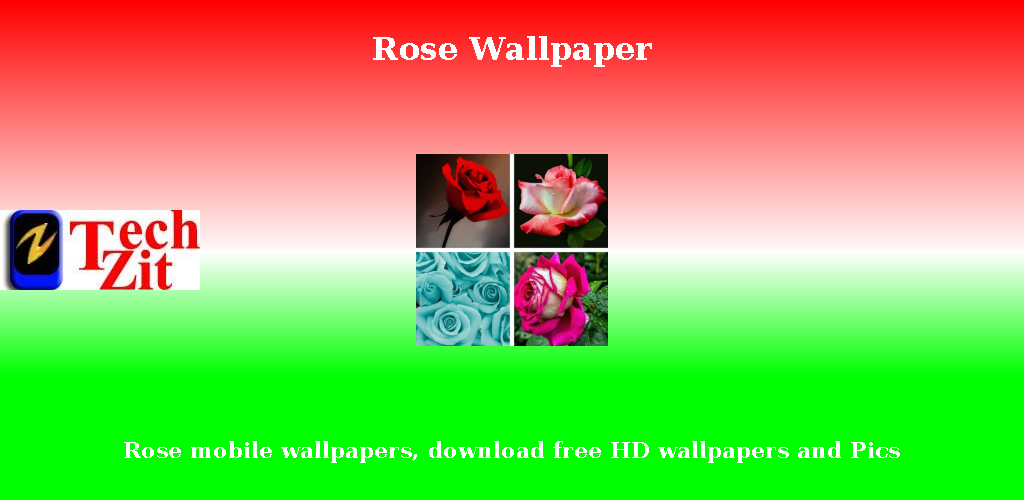 200,000+ Gorgeous White Rose Wallpapers [HD] - Pixabay