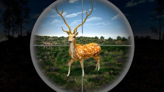 Deer Hunting Games Wild Animal screenshot 5