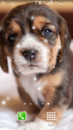 Puppies Live Wallpaper screenshot 8