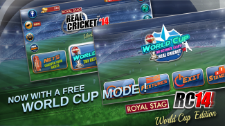 Real Cricket™ 17 screenshot 1