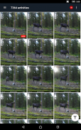 Seneram - Cloud service for trail cameras screenshot 5