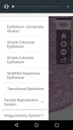 AnatLab Histology screenshot 0