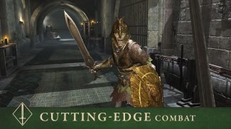 The Elder Scrolls: Blades screenshot 0