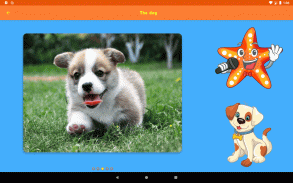 Çocuklar için Hayvanlar screenshot 8