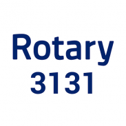 Rotary 3131 screenshot 6