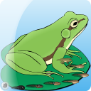 Benim pet: frog Icon