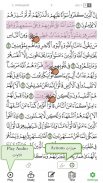 With the Qur'an (مع القرآن) screenshot 5