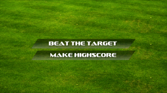 Cricket Classic Game screenshot 1