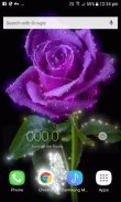 Purple Shine Rose LWP screenshot 1