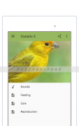 Canary screenshot 7