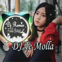 Dj Te Molla Remix Full Bass Offline