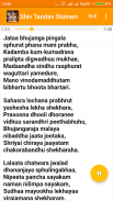 Shiv Tandav Stotram with Audio and Lyrics screenshot 3
