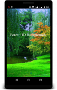 Forest HD Backgrounds screenshot 0