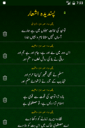 Allama Iqbal Poetry کُلیاتِ اقبالؔ screenshot 6