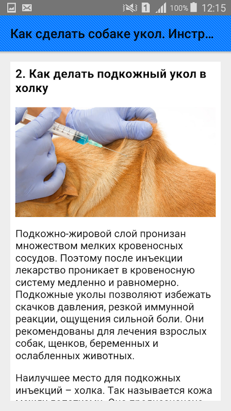 Как сделать собаке укол. Инструкция - 适用于Android的APK下载 | Aptoide