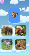 Zooventure Pro screenshot 0