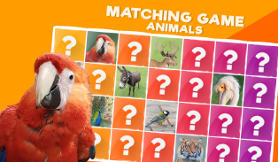 Match Game: Animals screenshot 6