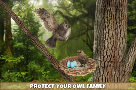 Wild Owl Bird Family screenshot 11