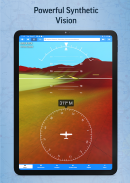 Aviator Assistant - Pilot App screenshot 8