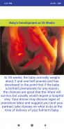 Fetal development stages screenshot 2