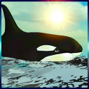 Whale Simulator 3D Free Icon