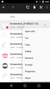 File Manager screenshot 3