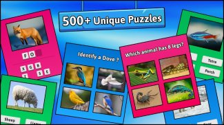 Animal Quiz Guess their Answer screenshot 5