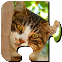 Kittens Jigsaw Puzzle - Free