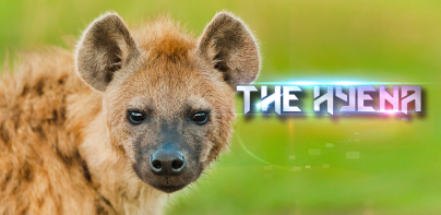 The Hyena