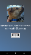 犬ピアノ screenshot 1