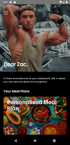 44+ Zac perna workout plan review info