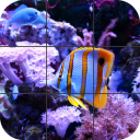 Fish Jigsaw Puzzle Icon