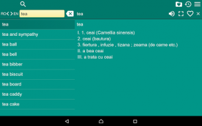 English Romanian Dictionary screenshot 1