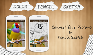 Efek warna Pensil Sketsa screenshot 0