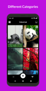 VideoHub - Video Live Wallpapers screenshot 4