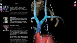 Anatomy Learning - 3D Anatomy screenshot 3