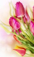 HD Pink Tulips Live Wallpaper screenshot 2