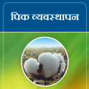 Cotton (KAPUS) VNMKV, Parbhani