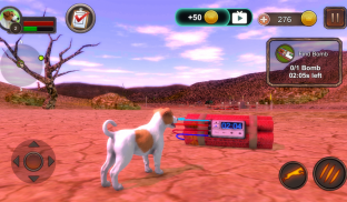 Jack Russell Terrier Simulator screenshot 11