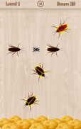 Cockroach Smasher screenshot 2