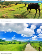 Taipei Travel Guide, Attractions, MRT, Map, App screenshot 8
