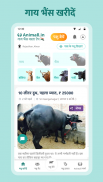 Gaay bhains (गाय भैंस) wala app - Animall screenshot 1