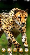 Wild Cheetah  Animal Theme HD screenshot 0