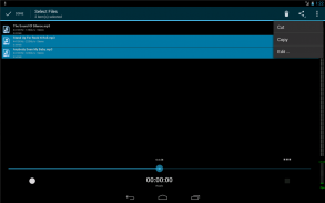 RecForge II Pro Audio Recorder screenshot 5