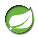 Learn Spring Boot Quick Guide Icon