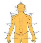 Body Reflexology Point screenshot 0