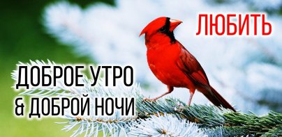 С добрым утром до ночи любовь