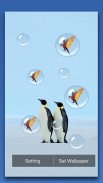 Penguin Live Wallpaper screenshot 2