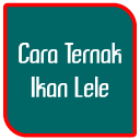 Cara Ternak Ikan Lele