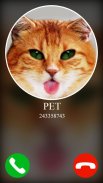 fake incoming call pet game screenshot 1